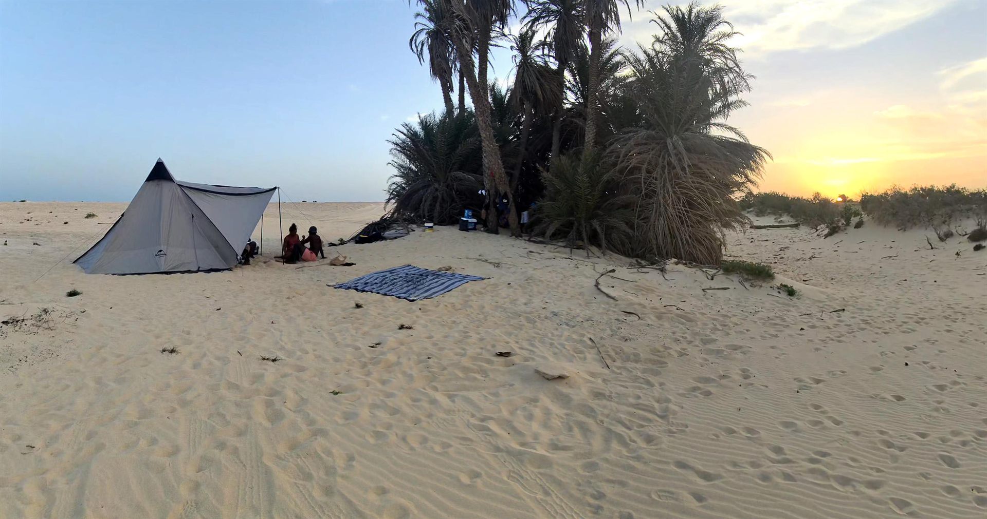 Campo tendato nel deserto al tramonto, tra le palme