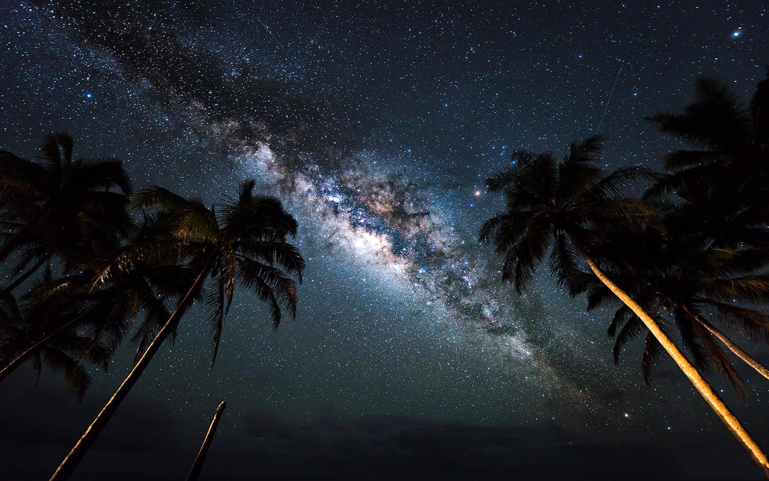 La Via Lattea incorniciata dalle palme di Capo Verde