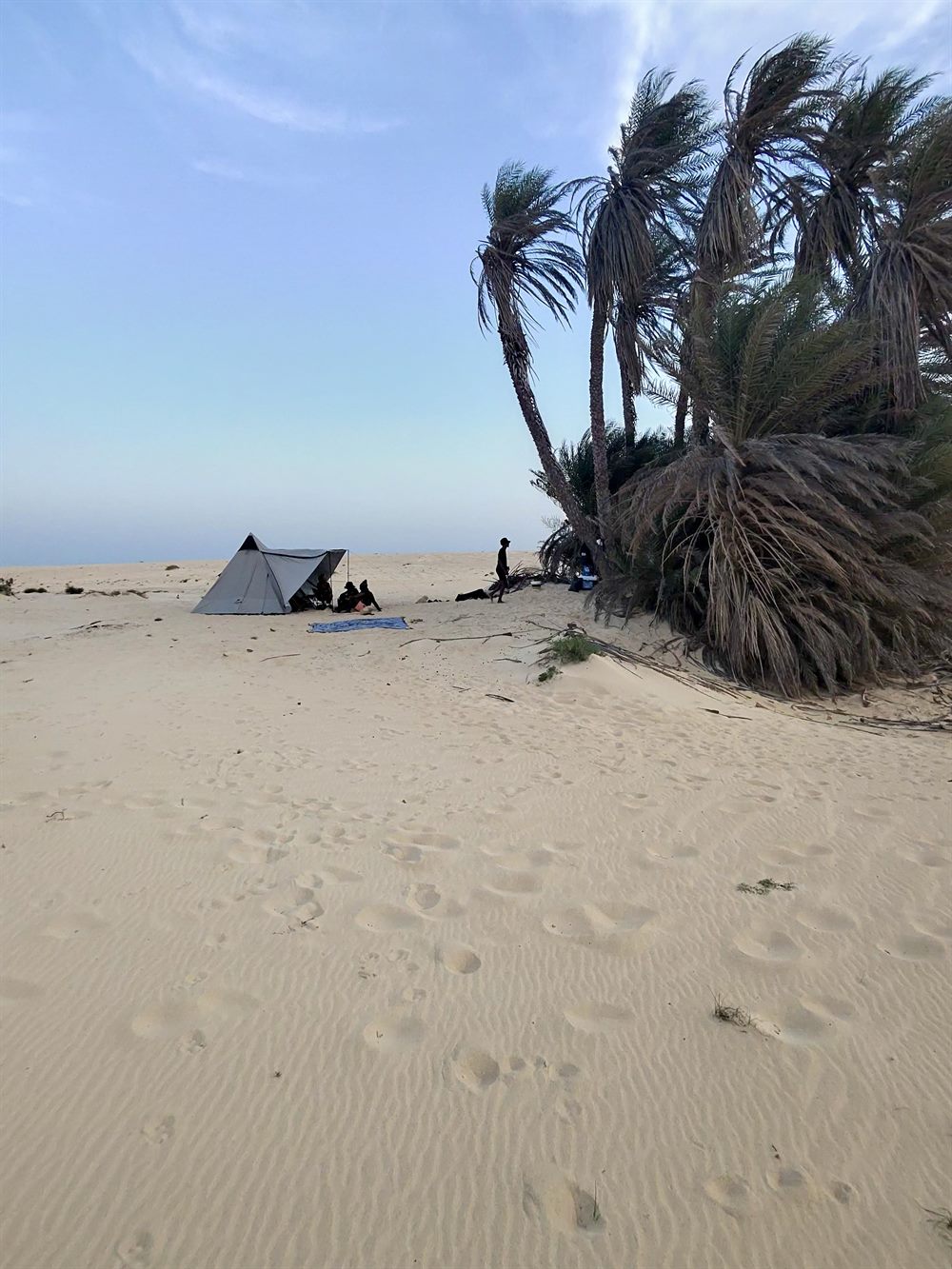 Tenda montata all'ombra delle palme